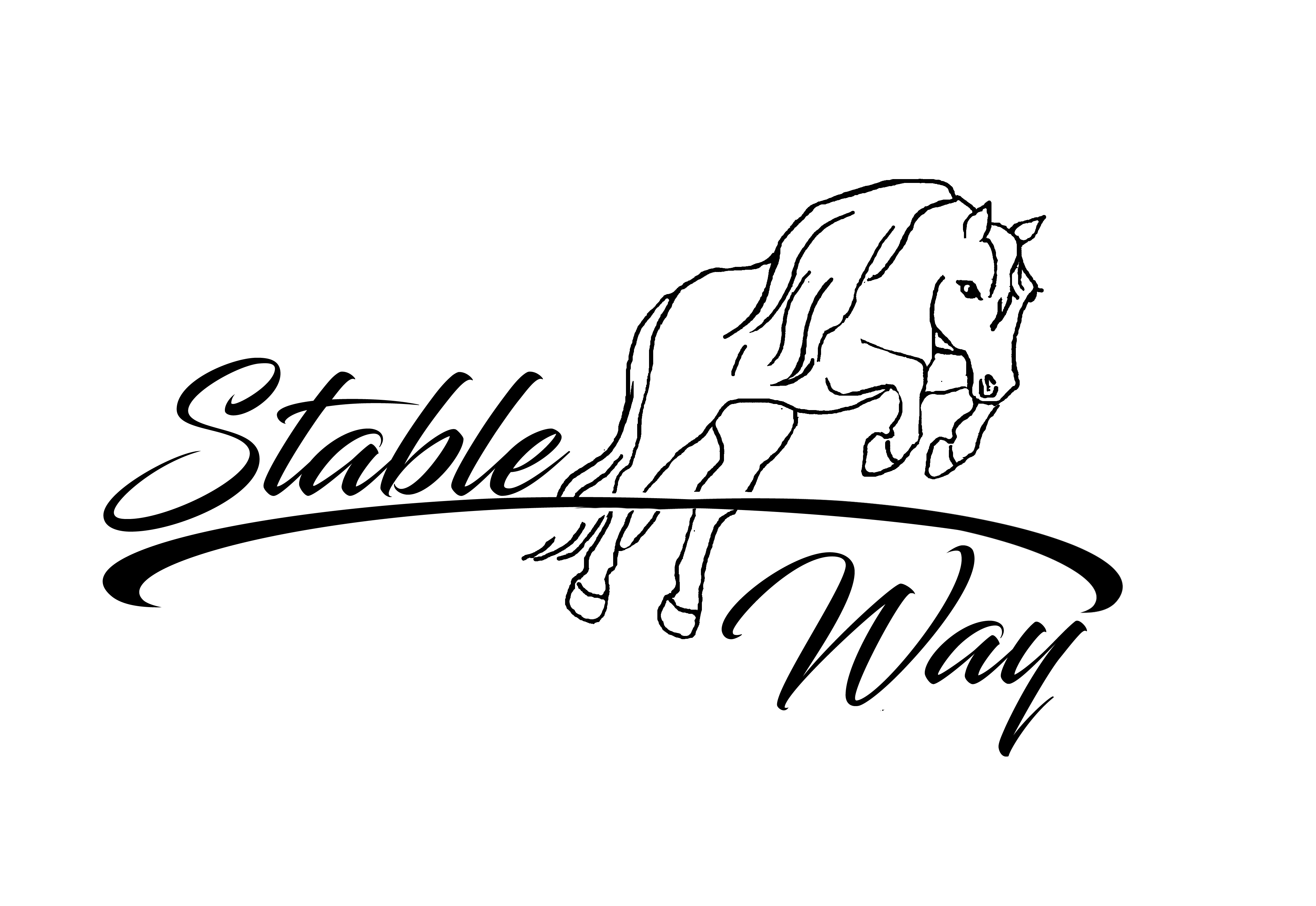 Stable Way LLC